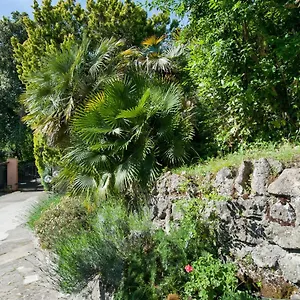 https://villalbert.it-romehotels.com